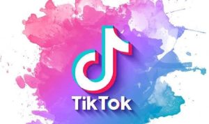 TikTok oznamuje hudobný zážitok, TikTok v mixe – Fintechnesia.com